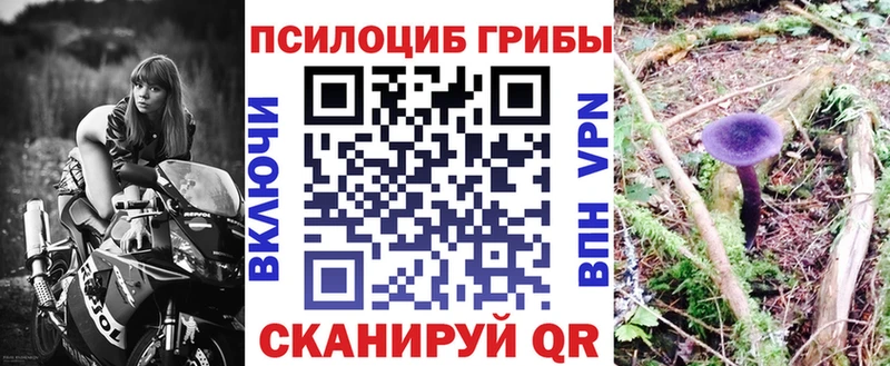 цена наркотик Когалым Псилоцибиновые грибы прущие грибы